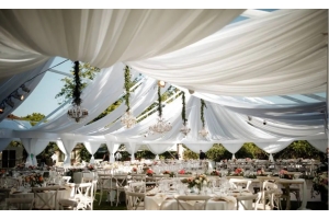 Why TheGazeboStore is youru Ultimate Destination for Party Tents