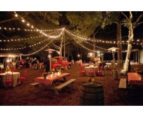 50 Foot Outdoor Globe String Lights