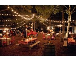 50 Foot Outdoor Globe String Lights