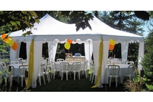 The Best Party Tents on the market