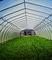 Greenhouses & Grow Tents 